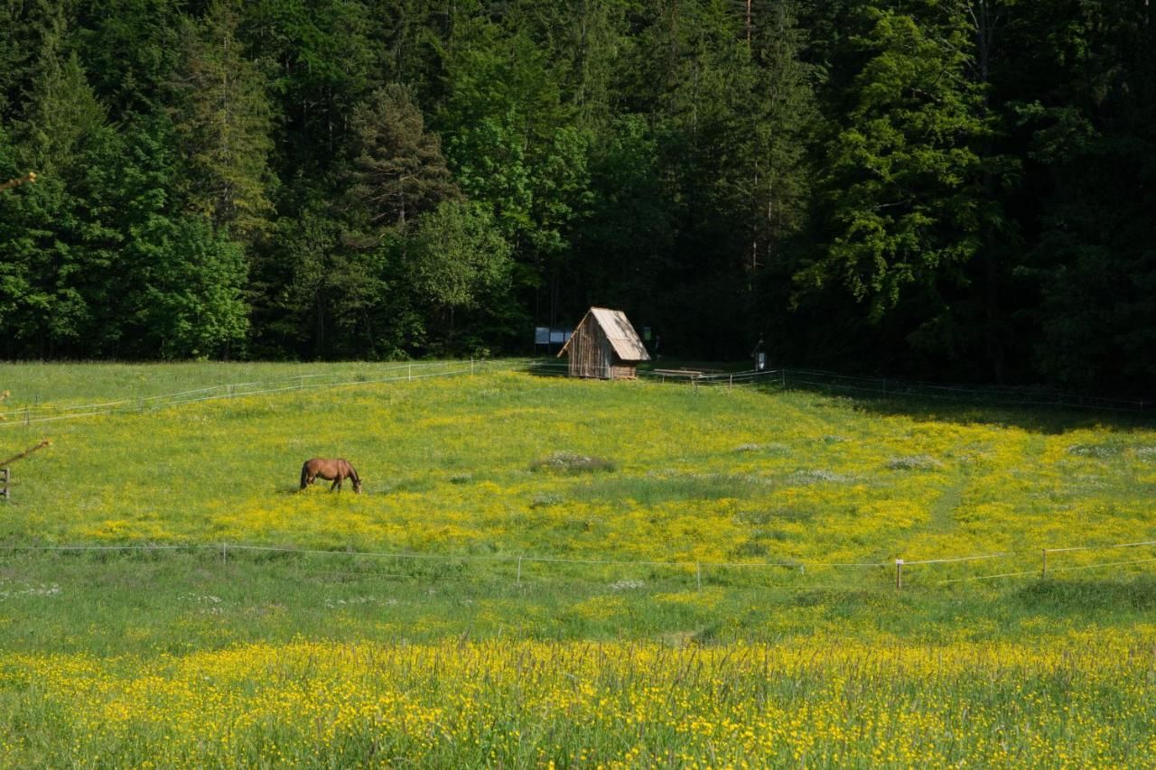 Шале Domek Trzy Doliny Zakopane - Three Valleys Chalet Zakopane Закопане