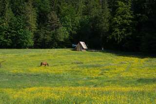 Шале Domek Trzy Doliny Zakopane - Three Valleys Chalet Zakopane Закопане Шале-24